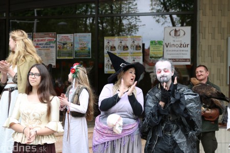 Foto a video: Bojnice - OTVORENIE LETNEJ TURISTICKEJ SEZÓNY 2019 a Oslava 25.výročia Sokoliarov Aquila 58