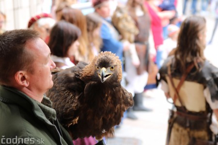 Foto a video: Bojnice - OTVORENIE LETNEJ TURISTICKEJ SEZÓNY 2019 a Oslava 25.výročia Sokoliarov Aquila 63