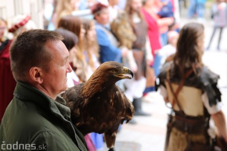 Foto a video: Bojnice - OTVORENIE LETNEJ TURISTICKEJ SEZÓNY 2019 a Oslava 25.výročia Sokoliarov Aquila 64