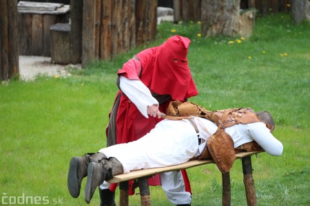 Foto a video: Bojnice - OTVORENIE LETNEJ TURISTICKEJ SEZÓNY 2019 a Oslava 25.výročia Sokoliarov Aquila 75