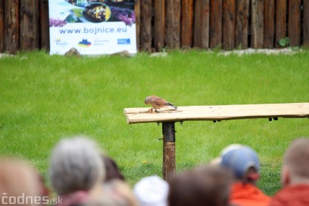 Foto a video: Bojnice - OTVORENIE LETNEJ TURISTICKEJ SEZÓNY 2019 a Oslava 25.výročia Sokoliarov Aquila 77