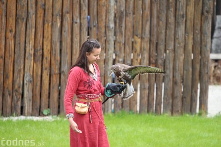 Foto a video: Bojnice - OTVORENIE LETNEJ TURISTICKEJ SEZÓNY 2019 a Oslava 25.výročia Sokoliarov Aquila 78