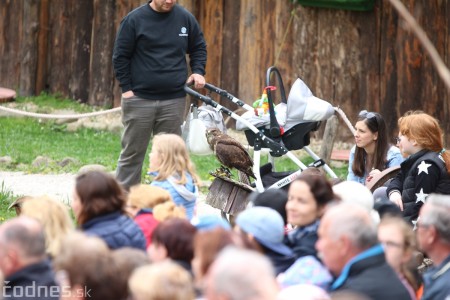 Foto a video: Bojnice - OTVORENIE LETNEJ TURISTICKEJ SEZÓNY 2019 a Oslava 25.výročia Sokoliarov Aquila 80