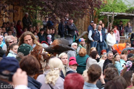 Foto a video: Bojnice - OTVORENIE LETNEJ TURISTICKEJ SEZÓNY 2019 a Oslava 25.výročia Sokoliarov Aquila 81