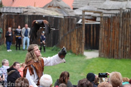 Foto a video: Bojnice - OTVORENIE LETNEJ TURISTICKEJ SEZÓNY 2019 a Oslava 25.výročia Sokoliarov Aquila 83