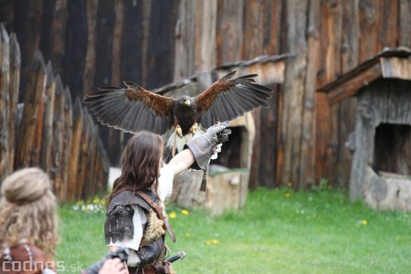 Foto a video: Bojnice - OTVORENIE LETNEJ TURISTICKEJ SEZÓNY 2019 a Oslava 25.výročia Sokoliarov Aquila 84