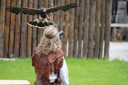 Foto a video: Bojnice - OTVORENIE LETNEJ TURISTICKEJ SEZÓNY 2019 a Oslava 25.výročia Sokoliarov Aquila 85