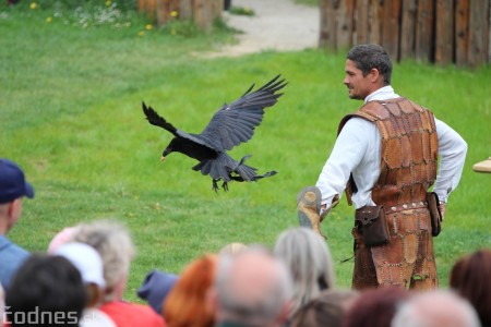 Foto a video: Bojnice - OTVORENIE LETNEJ TURISTICKEJ SEZÓNY 2019 a Oslava 25.výročia Sokoliarov Aquila 90