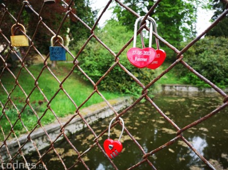 Foto a video: Bojnice - OTVORENIE LETNEJ TURISTICKEJ SEZÓNY 2019 a Oslava 25.výročia Sokoliarov Aquila 103