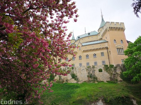 Foto a video: Bojnice - OTVORENIE LETNEJ TURISTICKEJ SEZÓNY 2019 a Oslava 25.výročia Sokoliarov Aquila 106