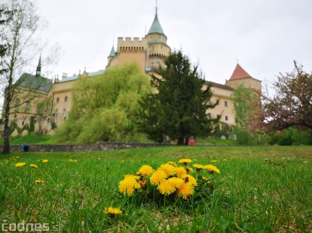 Foto a video: Bojnice - OTVORENIE LETNEJ TURISTICKEJ SEZÓNY 2019 a Oslava 25.výročia Sokoliarov Aquila 108