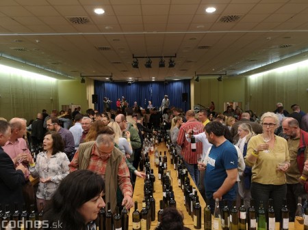 Foto a video: Bojnice - OTVORENIE LETNEJ TURISTICKEJ SEZÓNY 2019 a Oslava 25.výročia Sokoliarov Aquila 136