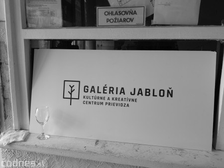 Foto: Galéria Jabloň - Prievidza - deň otvorených dverí 45