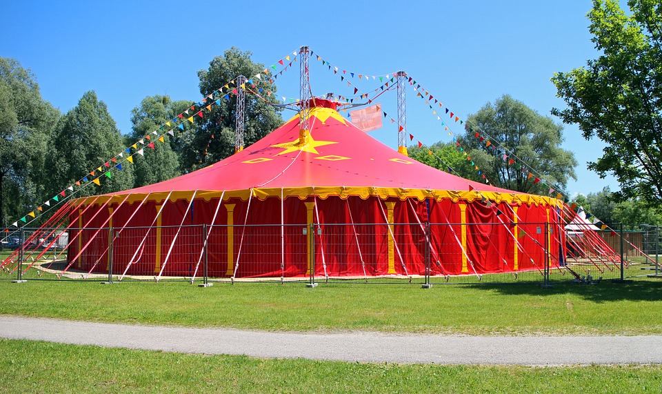 Video: Na mestských pozemkoch Prievidze cirkusy nebudú