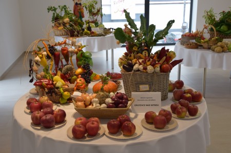 Video a foto: Okresná výstava ovocia, zeleniny a kvetov 2019 0