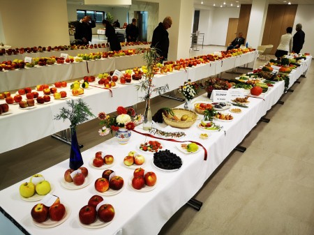 Video a foto: Okresná výstava ovocia, zeleniny a kvetov 2019 14