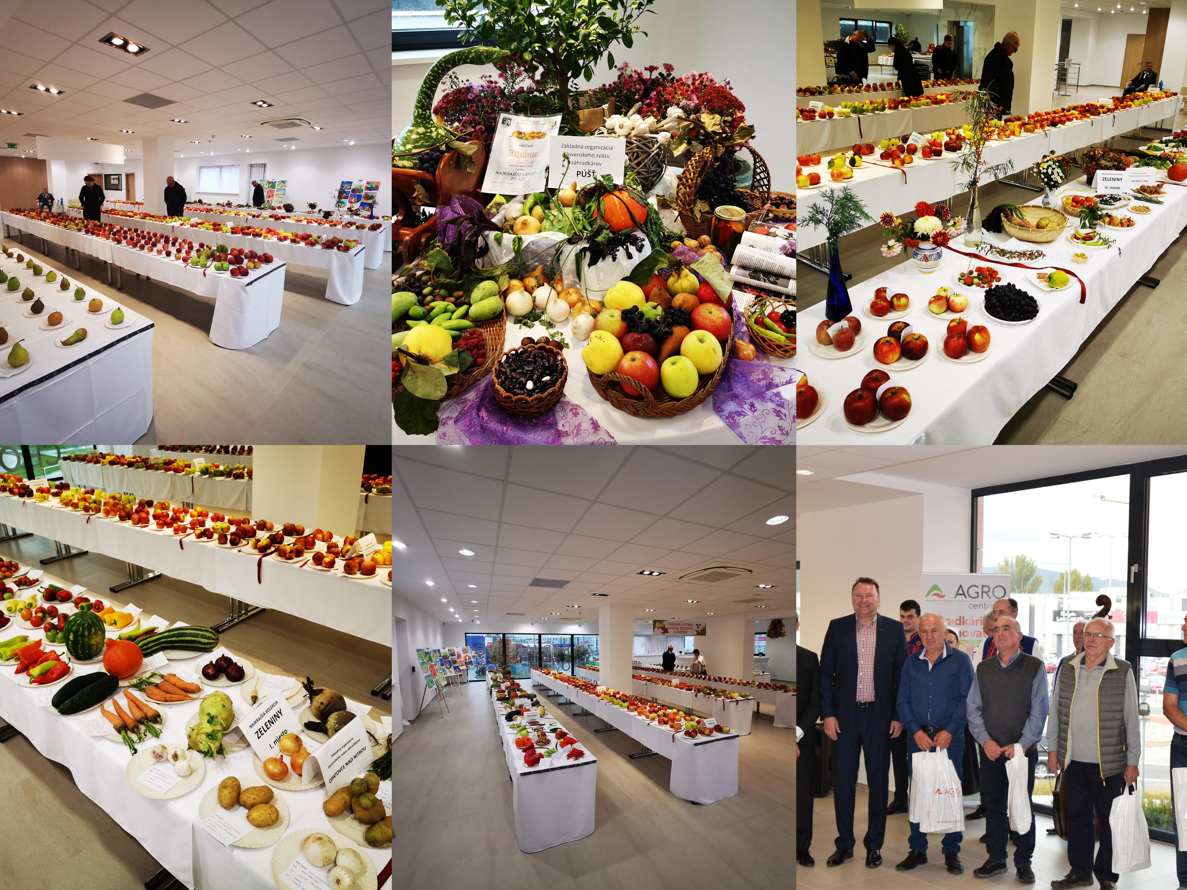Video a foto: Okresná výstava ovocia, zeleniny a kvetov 2019