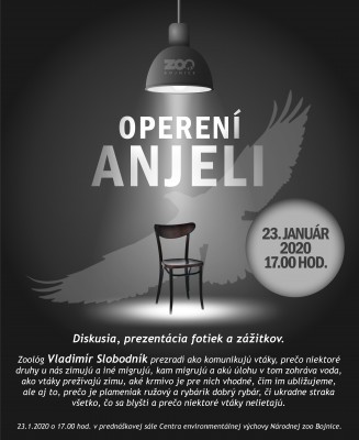 Operení anjeli