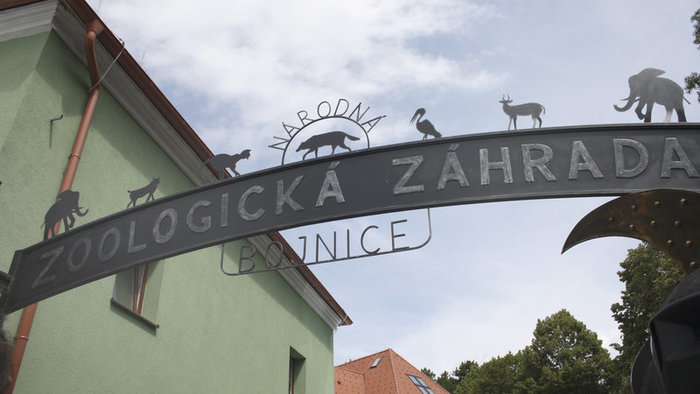 Zoo Bojnice: V Bojniciach utratili pre výskyt vtáčej chrípky 41 kusov vtáctva
