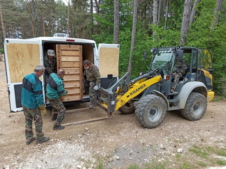 Foto: NÁRODNÁ ZOO BOJNICE ZÍSKALA MLADÉHO SAMCA TAKINA ZLATÉHO 0