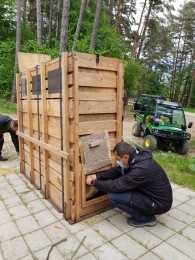 Foto: NÁRODNÁ ZOO BOJNICE ZÍSKALA MLADÉHO SAMCA TAKINA ZLATÉHO 1