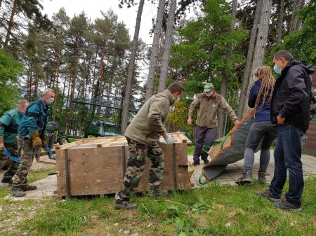 Foto: NÁRODNÁ ZOO BOJNICE ZÍSKALA MLADÉHO SAMCA TAKINA ZLATÉHO 2