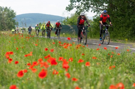 Video: V Trenčianskom kraji otvorili nový 11-kilometrový úsek cyklotrasy medzi mestami Trenčín a Nemšová, v rámci cezhraničného projektu Na bicykli po stopách histórie. 1