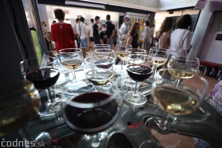 Foto: Vernisáž - Každý spolu - výstava štyroch pedagógov. VERONIKA LACHKÁ, ALENA SLUKOVÁ, LUCIA VRTELOVÁ a OLEG CIPOV 7