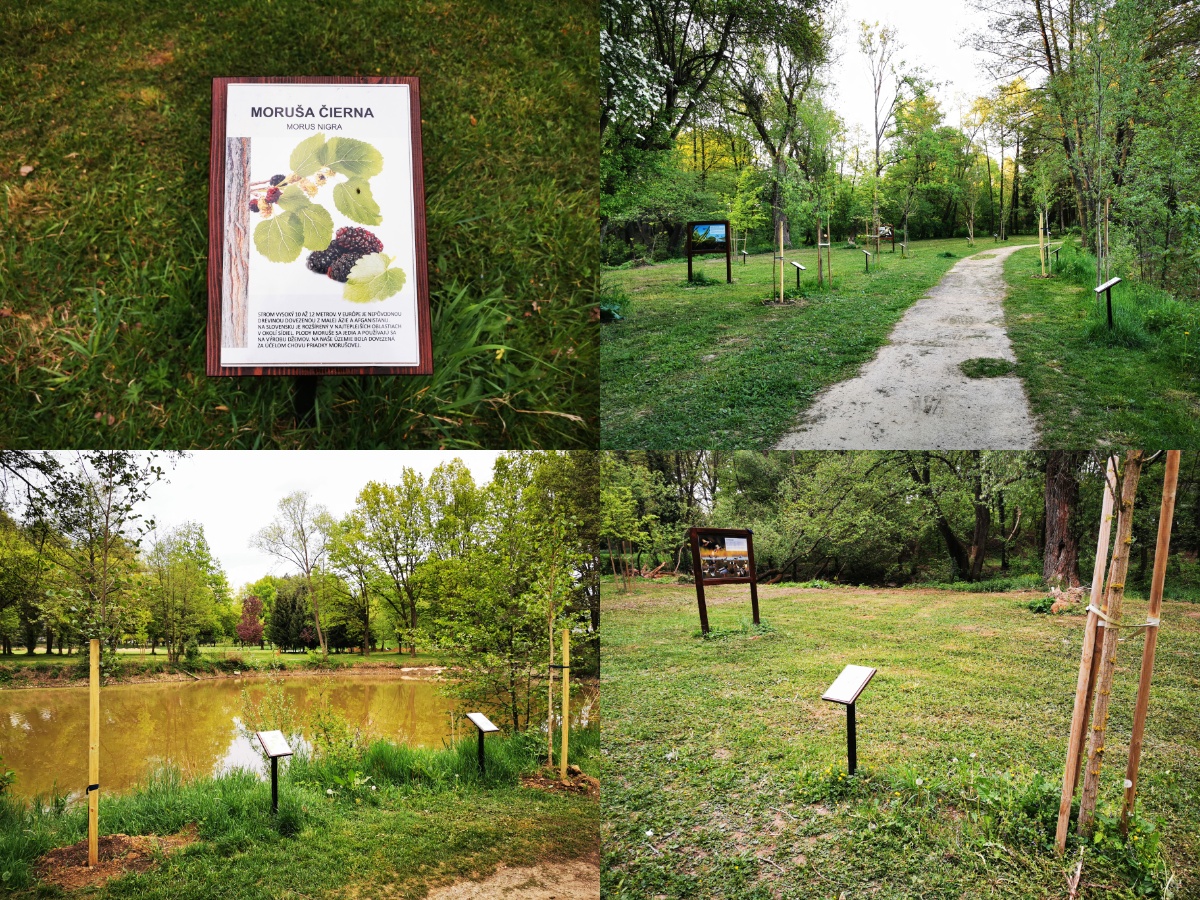 Foto: Mestský park v Prievidzi sa rozvíja vďaka novým projektom