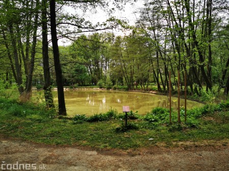 Foto: Mestský park v Prievidzi sa rozvíja vďaka novým projektom 0