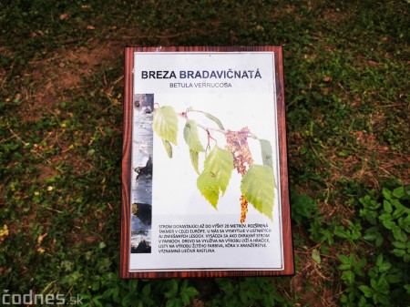 Foto: Mestský park v Prievidzi sa rozvíja vďaka novým projektom 2