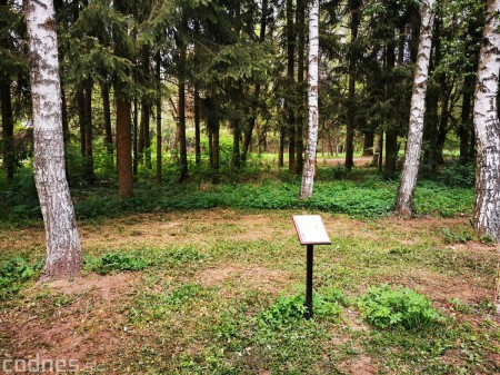 Foto: Mestský park v Prievidzi sa rozvíja vďaka novým projektom 3