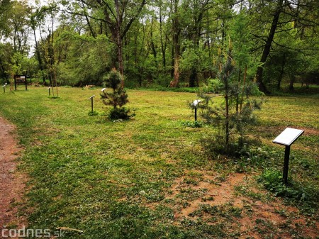 Foto: Mestský park v Prievidzi sa rozvíja vďaka novým projektom 4