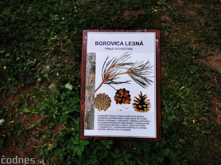 Foto: Mestský park v Prievidzi sa rozvíja vďaka novým projektom 5
