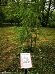 Foto: Mestský park v Prievidzi sa rozvíja vďaka novým projektom 6