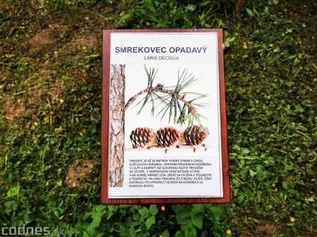 Foto: Mestský park v Prievidzi sa rozvíja vďaka novým projektom 7