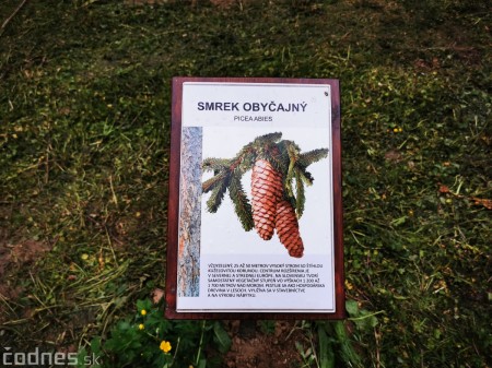 Foto: Mestský park v Prievidzi sa rozvíja vďaka novým projektom 8