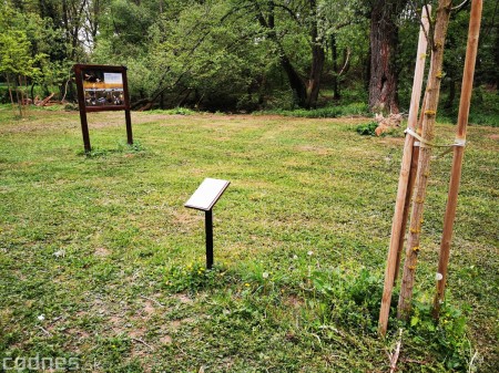 Foto: Mestský park v Prievidzi sa rozvíja vďaka novým projektom 9