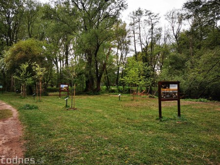 Foto: Mestský park v Prievidzi sa rozvíja vďaka novým projektom 10