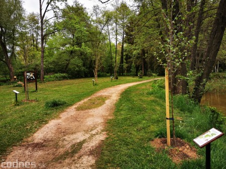 Foto: Mestský park v Prievidzi sa rozvíja vďaka novým projektom 13