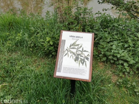 Foto: Mestský park v Prievidzi sa rozvíja vďaka novým projektom 14
