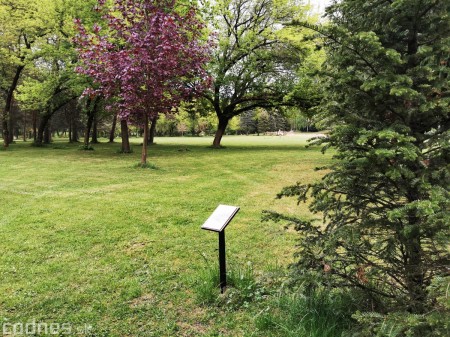 Foto: Mestský park v Prievidzi sa rozvíja vďaka novým projektom 17