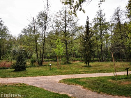 Foto: Mestský park v Prievidzi sa rozvíja vďaka novým projektom 18