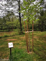 Foto: Mestský park v Prievidzi sa rozvíja vďaka novým projektom 19