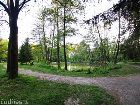 Foto: Mestský park v Prievidzi sa rozvíja vďaka novým projektom 20