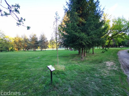Foto: Mestský park v Prievidzi sa rozvíja vďaka novým projektom 21