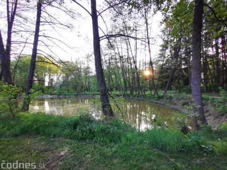 Foto: Mestský park v Prievidzi sa rozvíja vďaka novým projektom 22