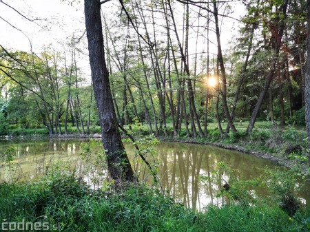 Foto: Mestský park v Prievidzi sa rozvíja vďaka novým projektom 23