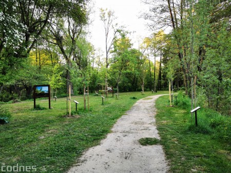 Foto: Mestský park v Prievidzi sa rozvíja vďaka novým projektom 25