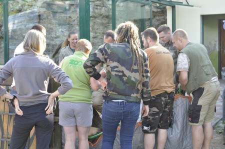 ZOO Bojnice opustil lev Ramzes. Išlo o prvého narodeného leva berberského v tejto zoo. 3